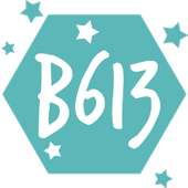 Camera B613