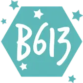 Camera B613
