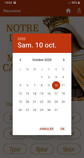 Notre Dame du Mont Carmel screenshot 2