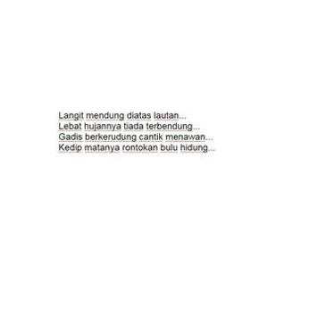 PANTUN LUCU screenshot 3