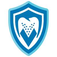Viable VPN logo