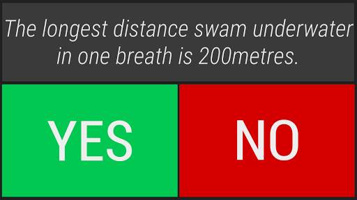 Yes/No Quiz Game screenshot 2