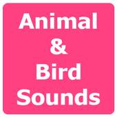 Animal and Bird Sounds Offline 1.2