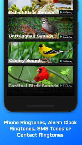 Eagle Sounds screenshot 4