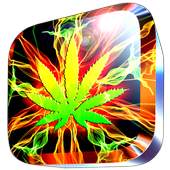 Rasta New Wallpaper 1.3