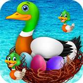 Duck Breeding Farm