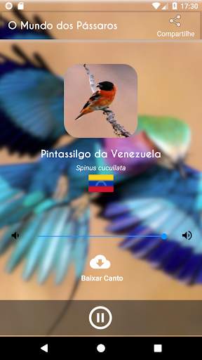 The World of Birds screenshot 5