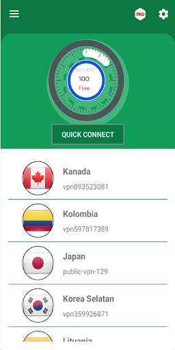 Premium VPN screenshot 1