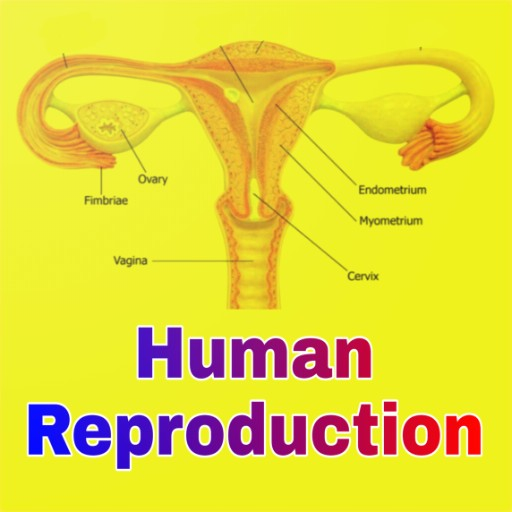 ikon Human Reproduction