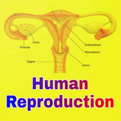 Human Reproduction 1.19