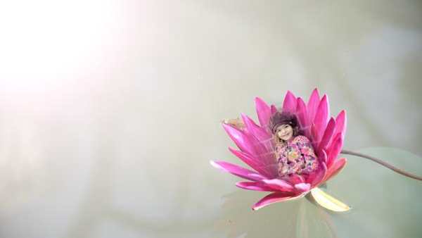 Lotus Photo Frames screenshot 1