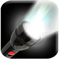 Flash Light