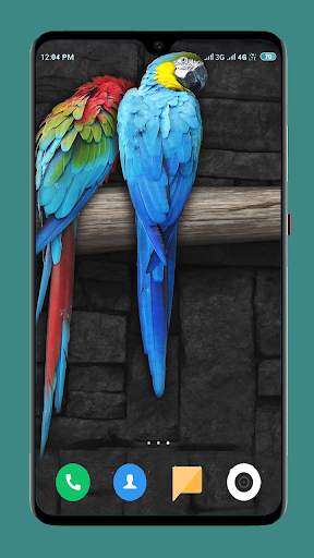 Parrot Wallpapers 4K screenshot 13