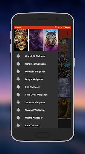 Owl Wallpapers 2 تصوير الشاشة