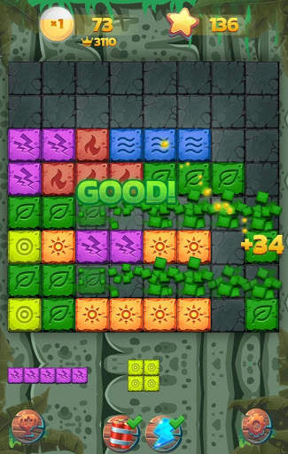 BlockWild - Classic Block Puzzle Game for Brain screenshot 5