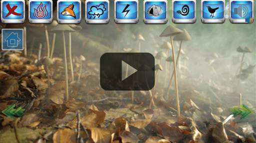 Forest Elf Music & Dark Elf Music screenshot 2