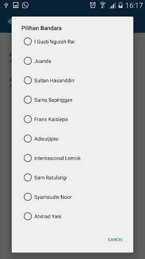 Indonesia Flight Status screenshot 3