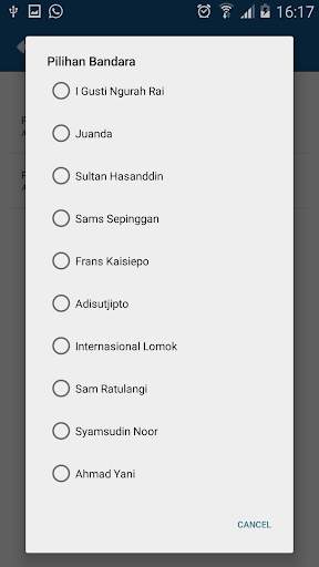 Indonesia Flight Status screenshot 3