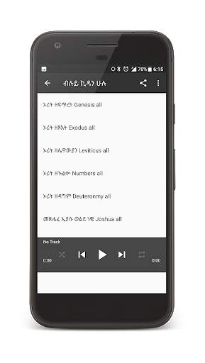 Amharic Audio Bible screenshot 1