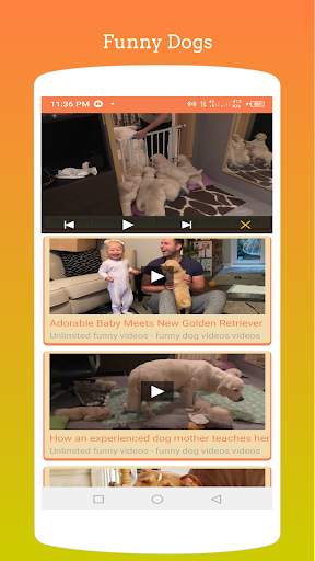 Funny X - Funny Videos screenshot 7