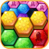Hexa! block puzzle legend 1.0