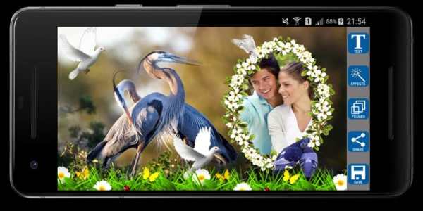 Love Birds Photo Frames screenshot 6