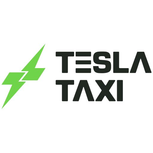 Tesla Driver icon