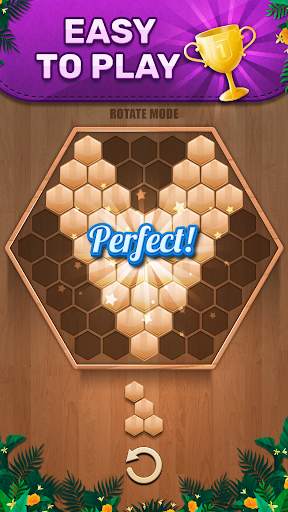 Wooden 100 Block Puzzle - Classic Wood Brain Game screenshot 4
