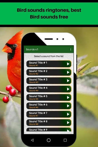 Bird sounds ringtones, best Bird sounds free screenshot 3