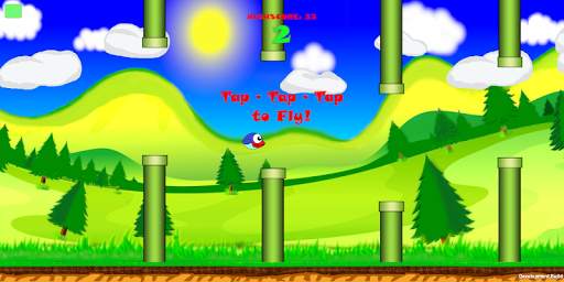 Happy Bird Championship 2020 screenshot 13