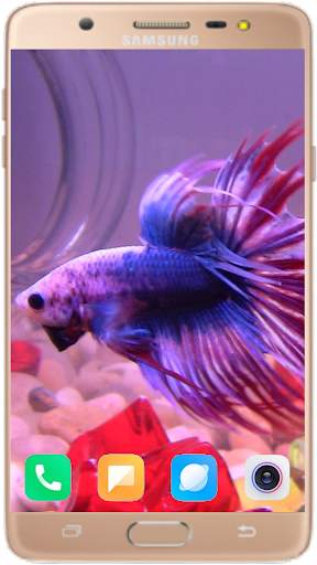 Betta Fish Wallpaper screenshot 2