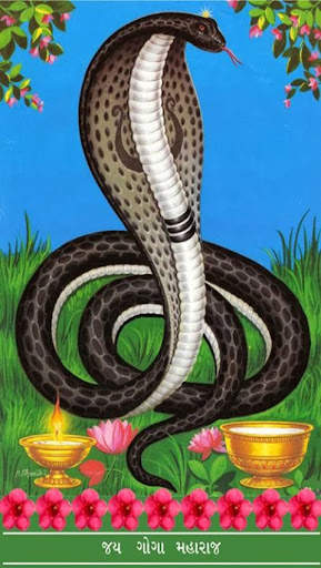 Goga Maharaj Wallpaper & Photo screenshot 3