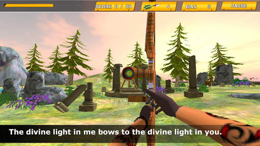 Archery 3D Game 2016 screenshot 3