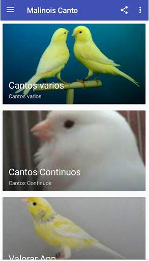 Canario Malinois Canto скриншот 1