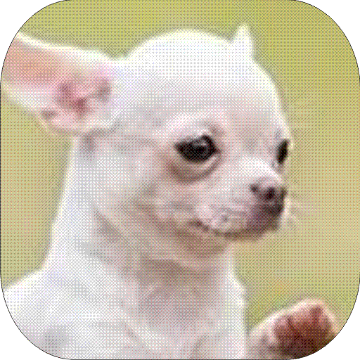 Dog Barking Sounds icon