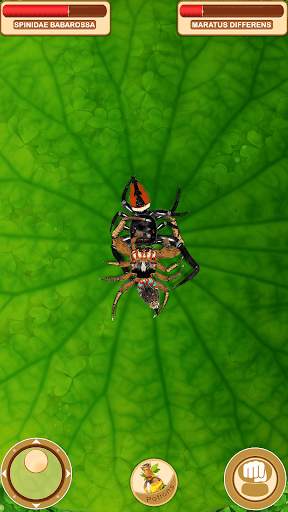 Fighting Spiders screenshot 7