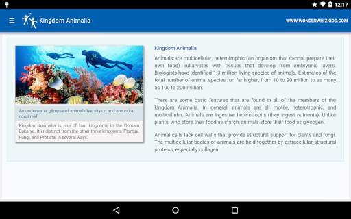 Kingdom Animalia screenshot 2