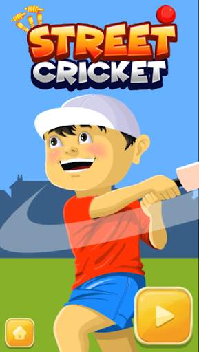 Street Cricket screenshot 1