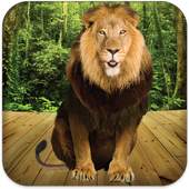 Talking Lion 3.6