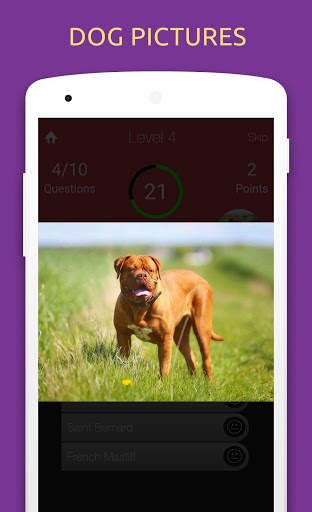 Dog Breeds Quiz Game: Learn All Popular Dog Breeds скриншот 3