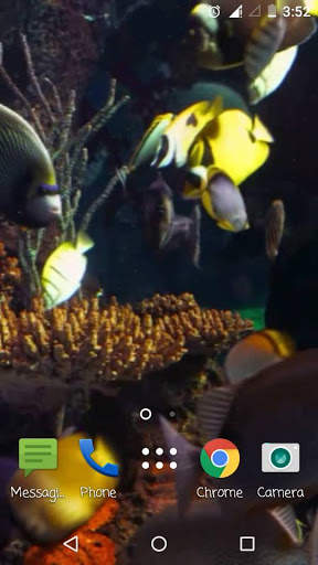 Fish Aquarium A Live Wallpaper screenshot 8