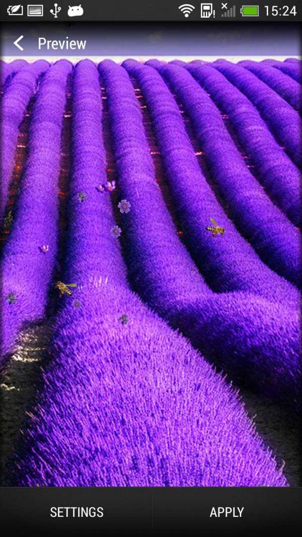 Lavender Live Wallpaper screenshot 5