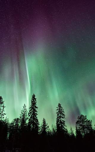 Northern Lights Live Wallpaper screenshot 5