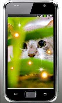 Hello my kitty Live Wallpaper скриншот 3