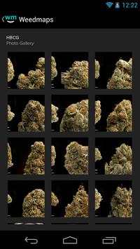 Weedmaps España screenshot 1
