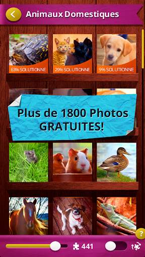 Jeu de Puzzle Jigsaw Real screenshot 4
