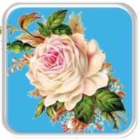 Flourishing Rose Live Wallpaper logo