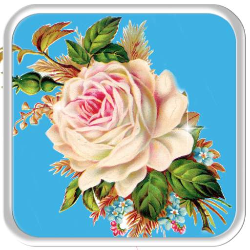 Flourishing Rose Live Wallpaper 1.1.1