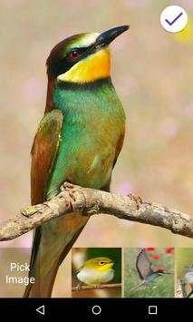 Birds Cool Lock Screen screenshot 5