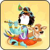 Krishna Photo Suit